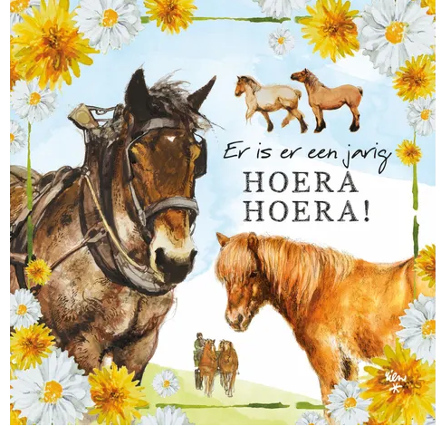 Rien Poortvliet Wenskaart – Er is er een jarig hoera hoera – 13,5 x 13,5 cm