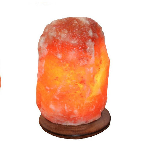 Salt Dreams Himalaya zoutlamp met houten voet 25 cm