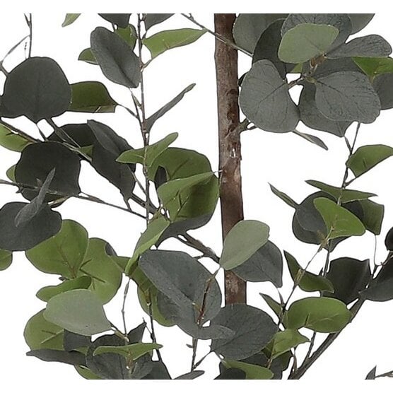 Eucalyptus kunstplant, 150 cm