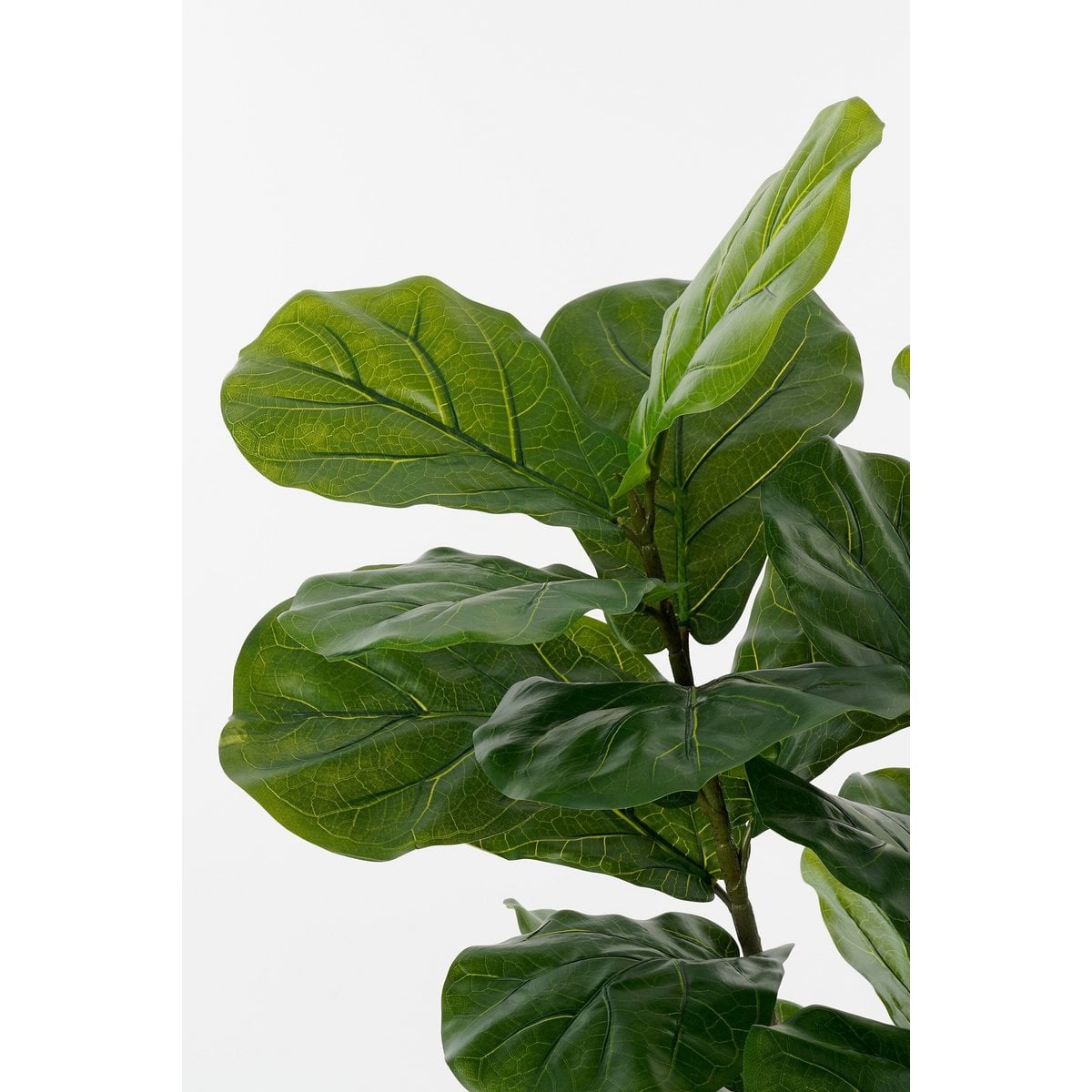Ficus Lyrata kunstplant, 150 cm