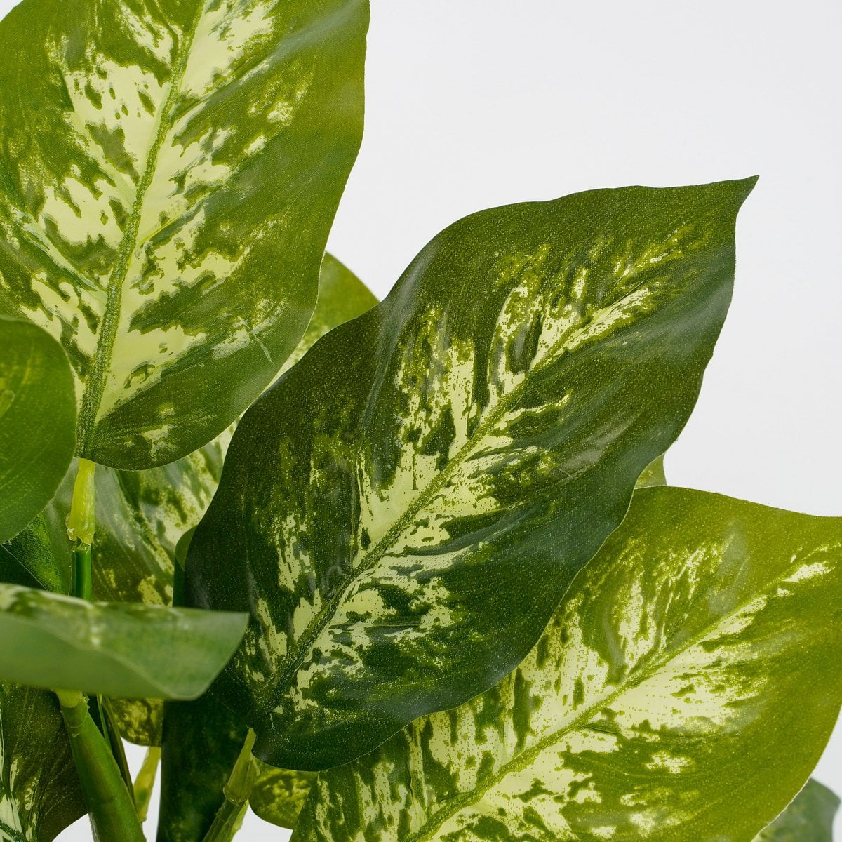 Dieffenbachia kunstplant, 40 cm