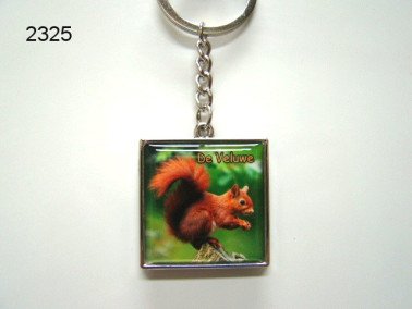 Veluwe/eekhoorn sleutelhanger