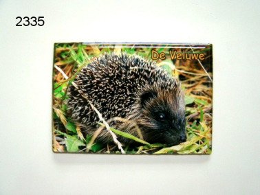 Veluwe/egel magneet