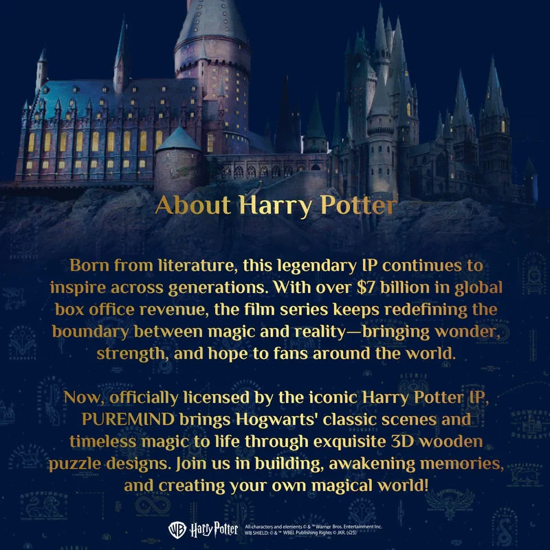 Harry Potter gouden snaai bouwset, 26,6 x 9,3 x 16,5 cm