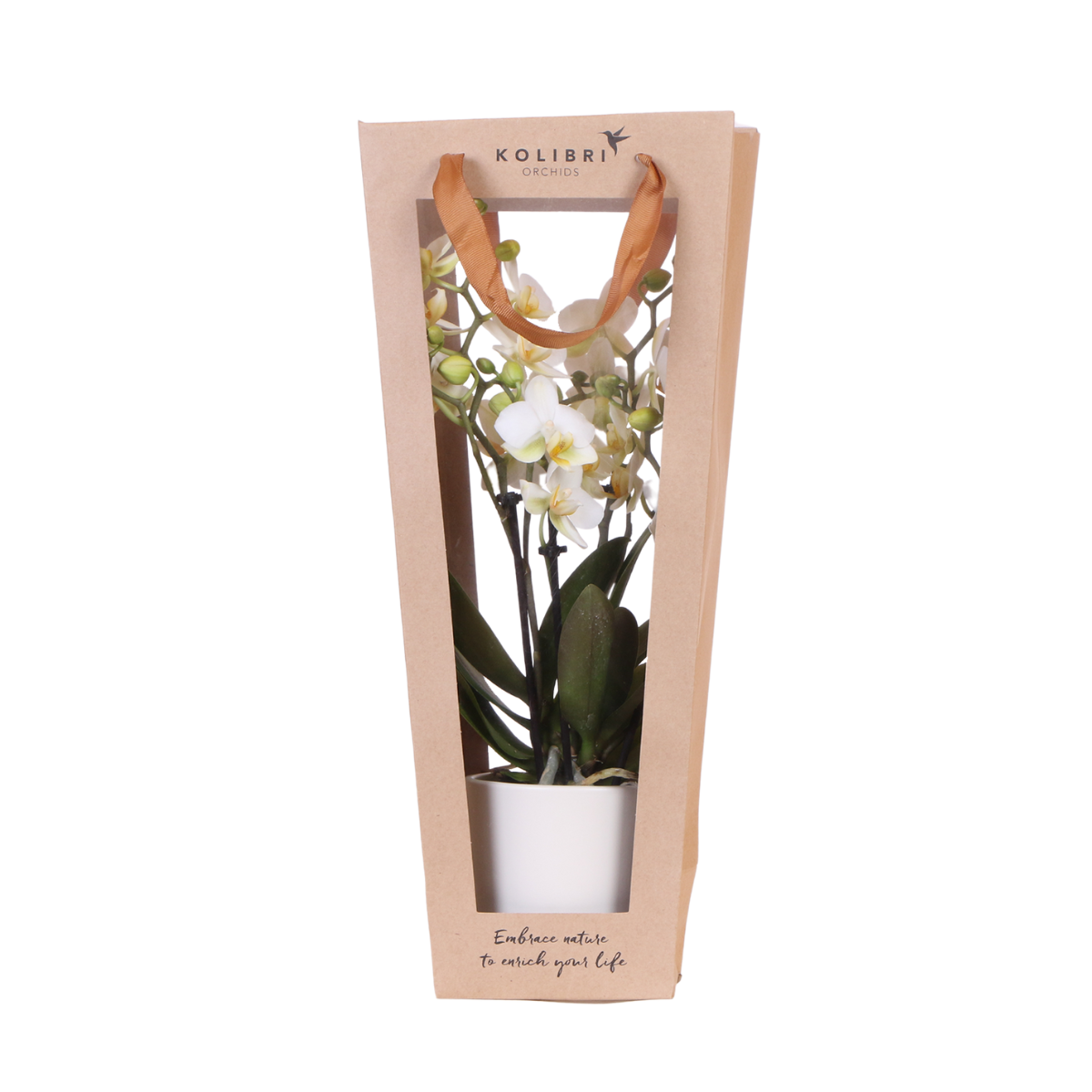 Cadeautasje voor orchidee met sierpot, wit, 45 cm