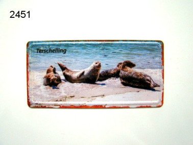 Terschelling magneet zeehonden