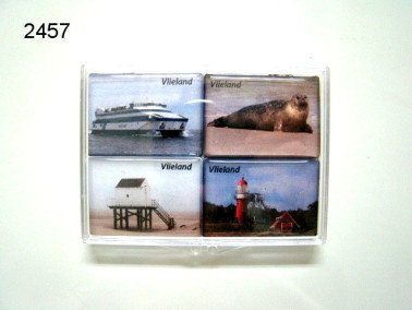 Vlieland magneetset in doosje