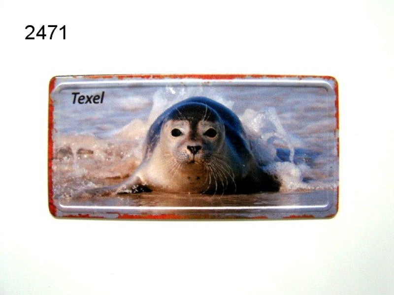 Texel magneet, zeehonden