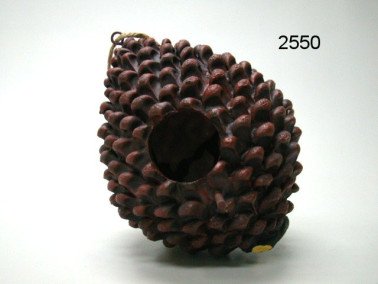 Vogelhuis denneappel, 16 cm