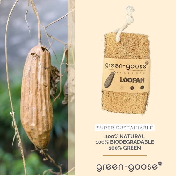 Loofah schuurspons, natuurlijke scrub- en peeling spons