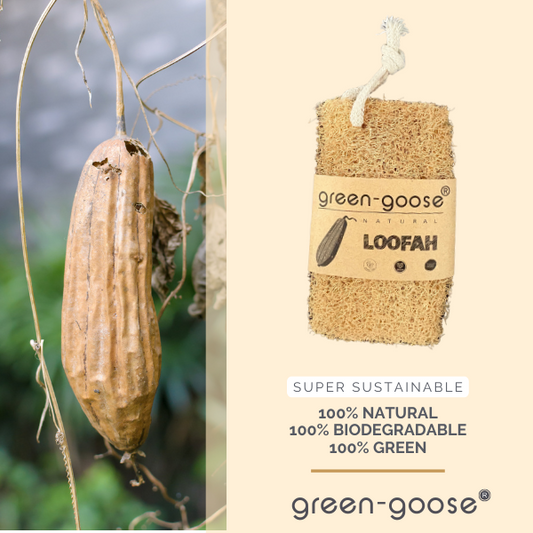 Loofah schuurspons, natuurlijke scrub- en peeling spons