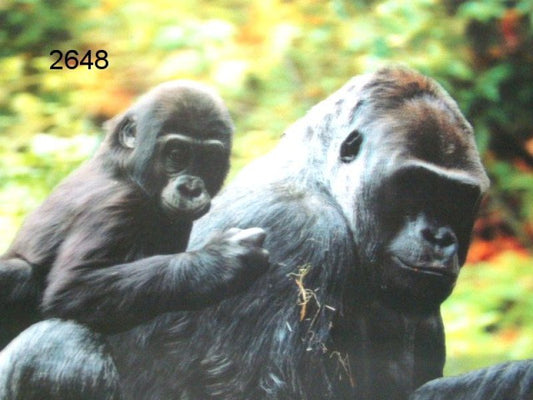 Gorilla, 3D placemat