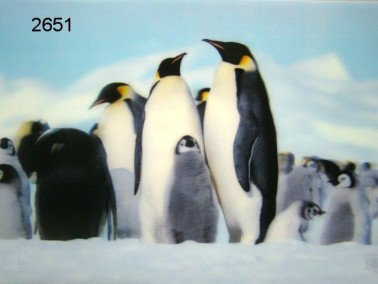 Pinguin, 3D placemat