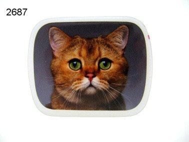 Poes, blikje met pepermunt