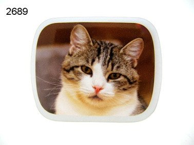 Poes, blikje met pepermunt