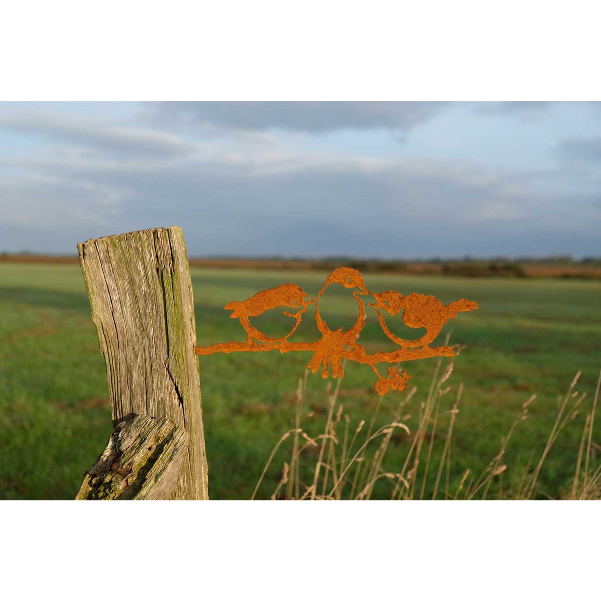 Roest metalen kuikens wanddecoratie lucky birds