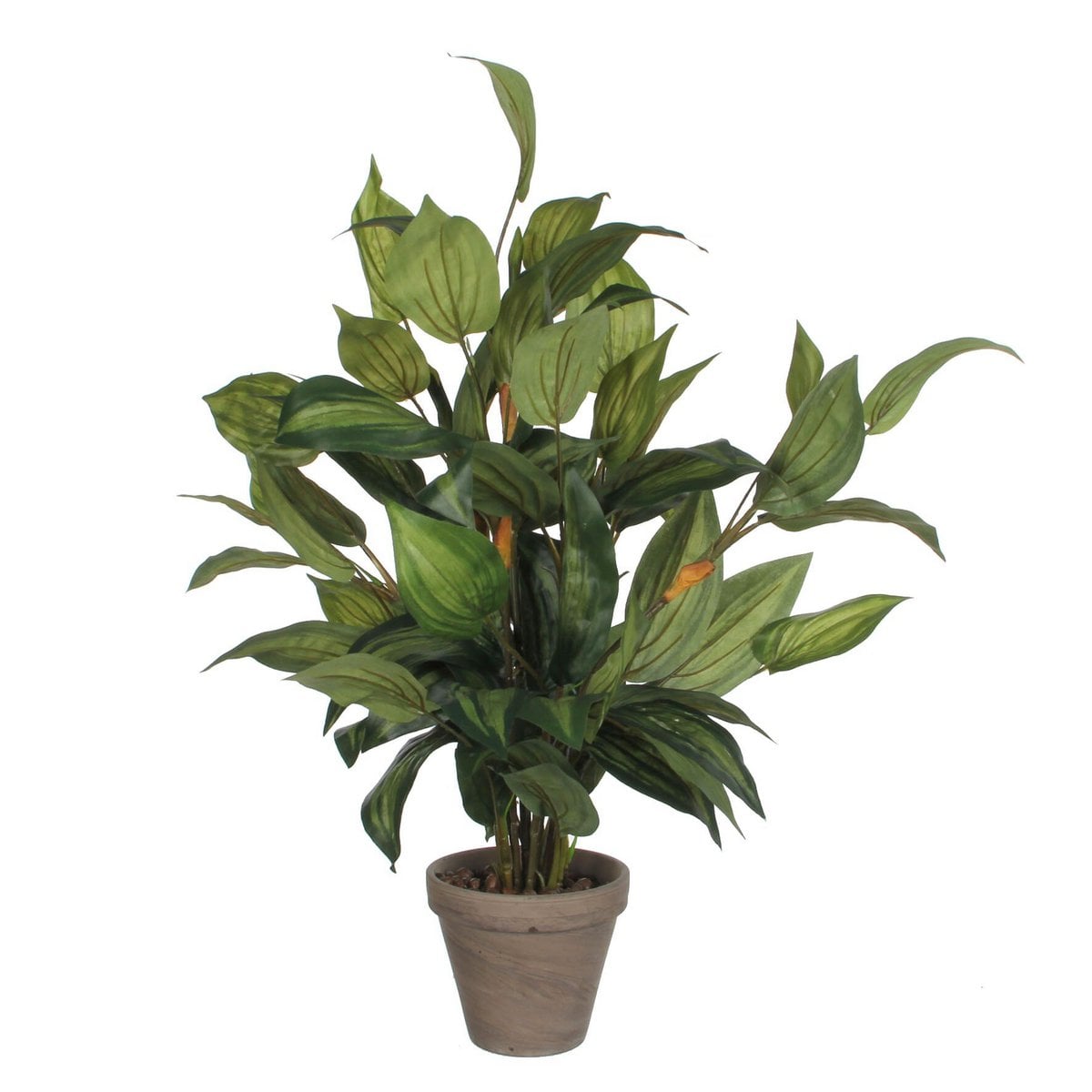 Hosta kunstplant, 65 cm