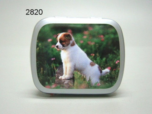Hond/puppy, blikje met pepermunt