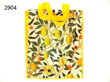 Fruits boodschappentas