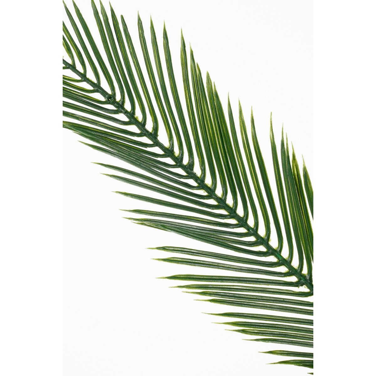 Cycas kunstpalm, 150 cm