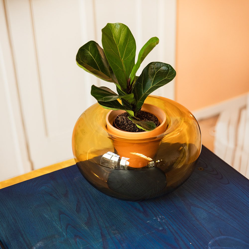 Potvase glazen plantenvaas met terracotta pot, Ø 35 cm