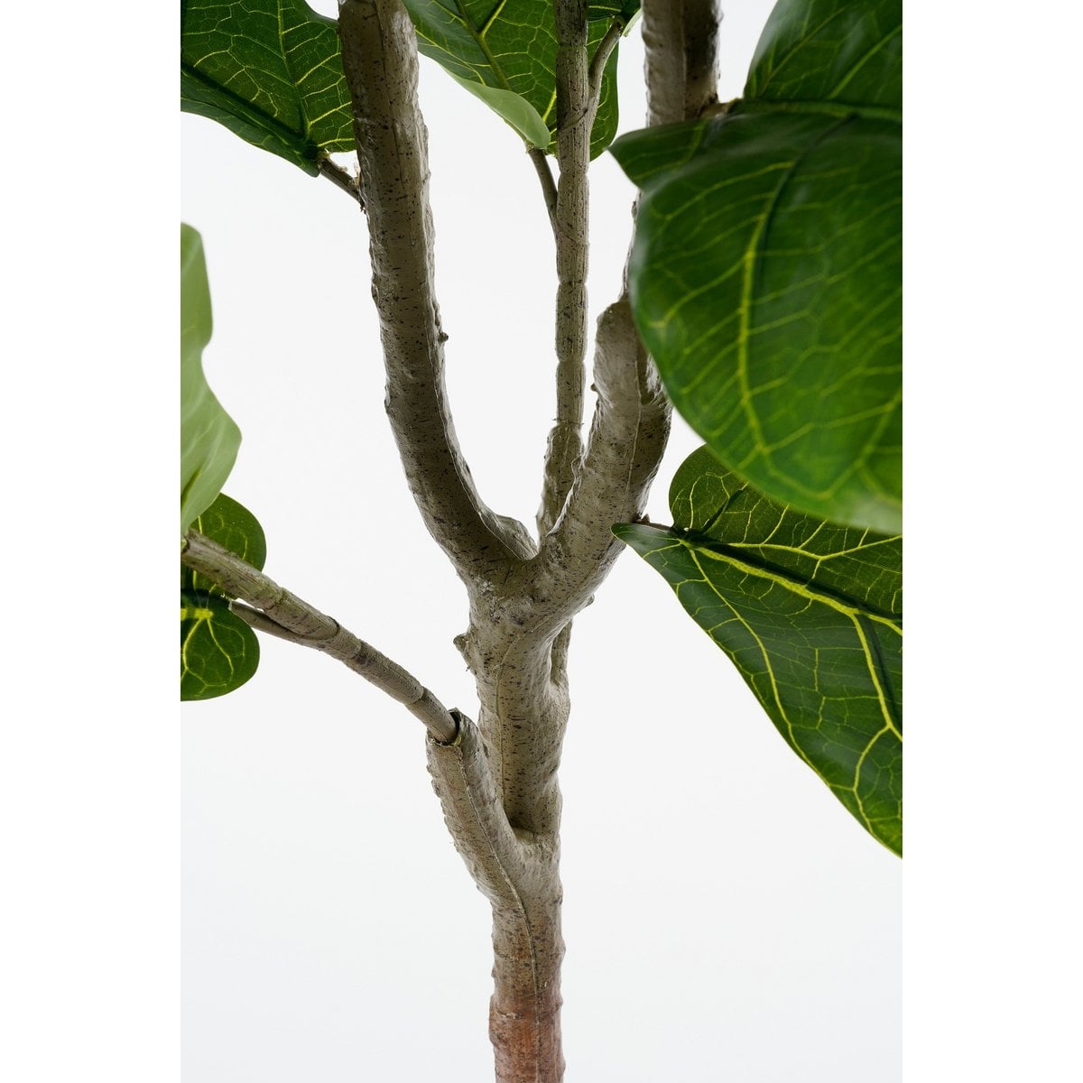 Ficus Lyrata kunstplant, 150 cm