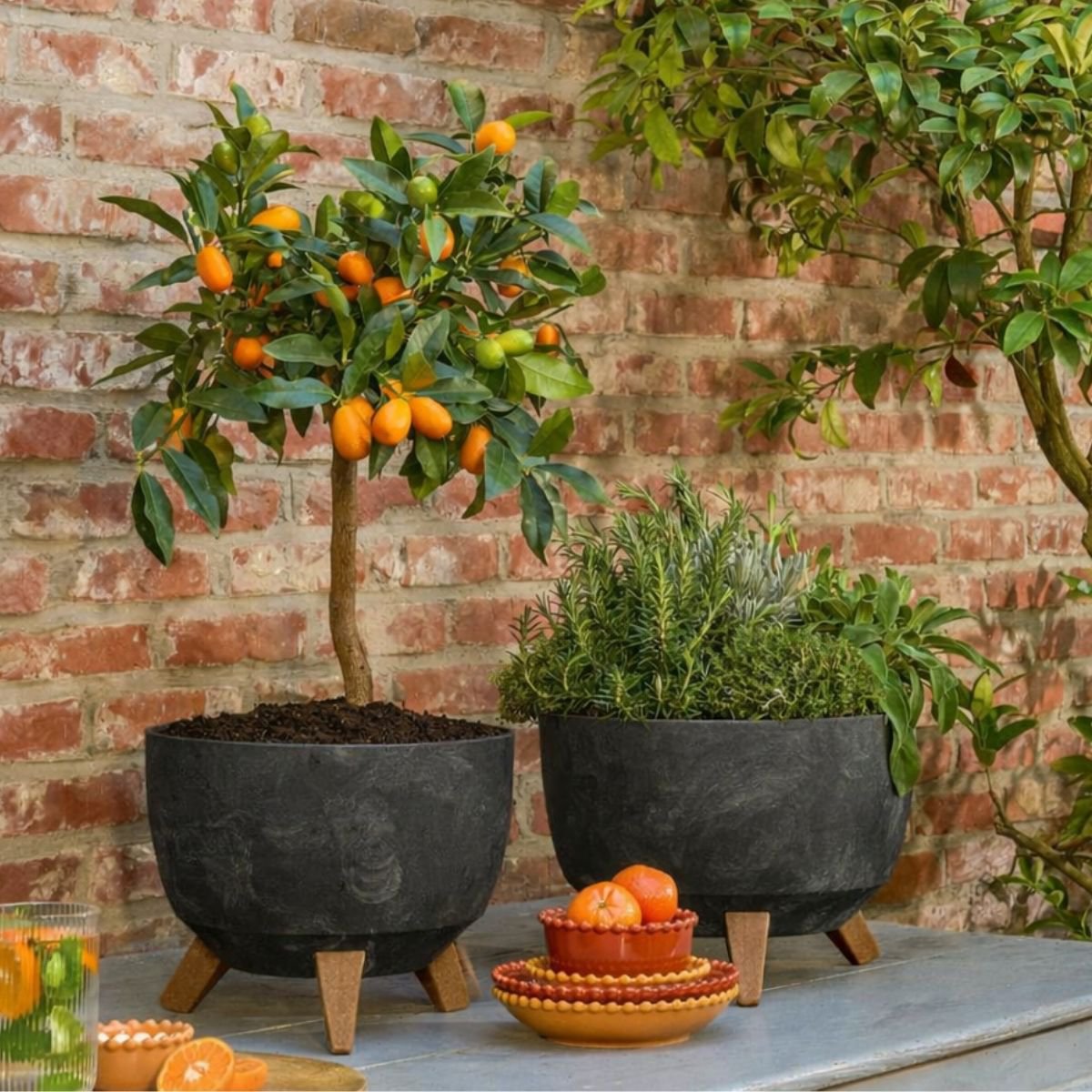 Doppio plantenbak voor buiten, zwart cementlook, Ø 33 × 18,5 cm