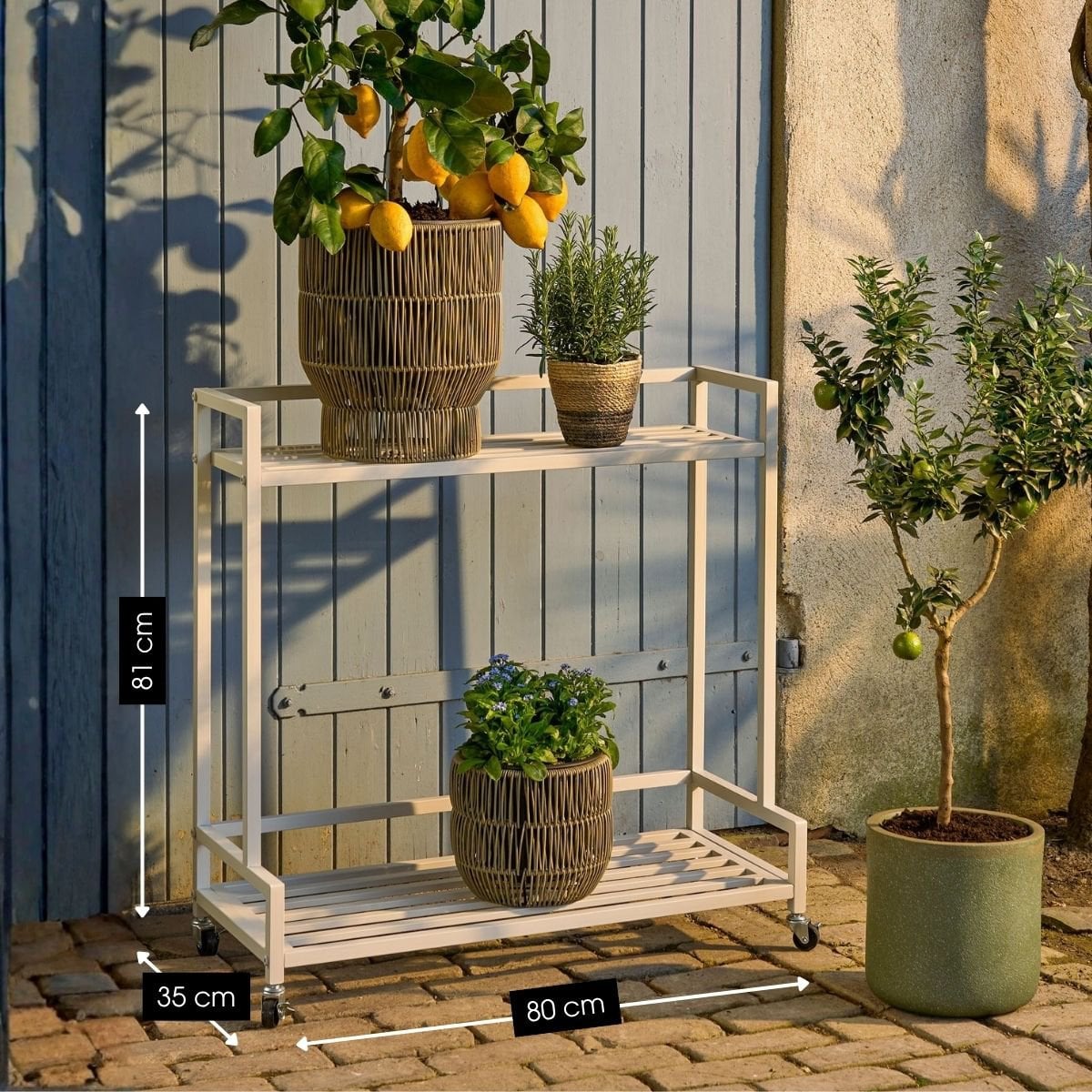 Greenrax plantenstandaard met wielen, off-white, 80 × 35 × 81 cm
