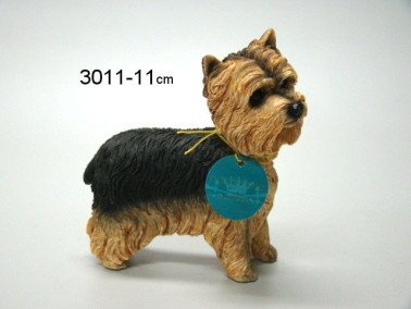 Yorkshire Terrier, 11 cm