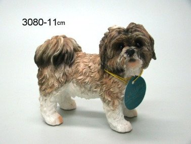 Shih Tzu bruin/wit, 10 cm