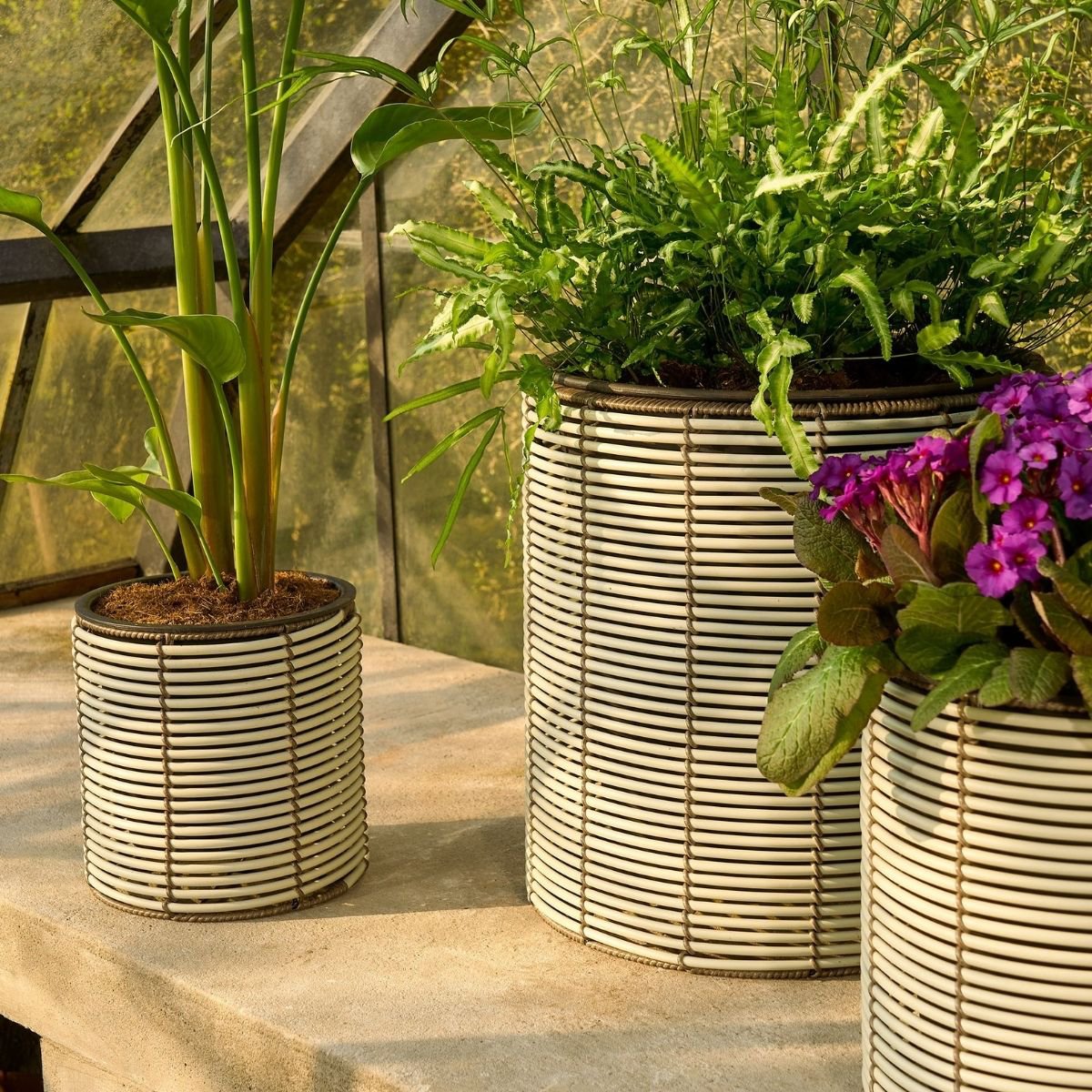 Cesena bloempottenset wit, set van 3, gevlochten look