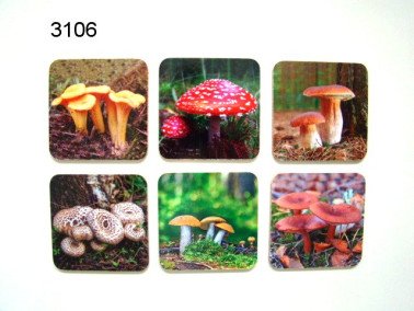 Paddenstoel onderzetters, 6 stuks
