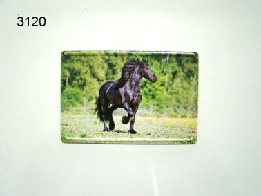 Fries paard magneet, metaal