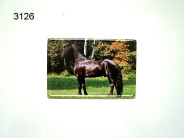 Fries paard magneet, metaal