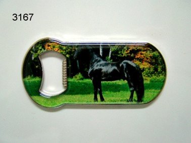 Fries paard flesopener