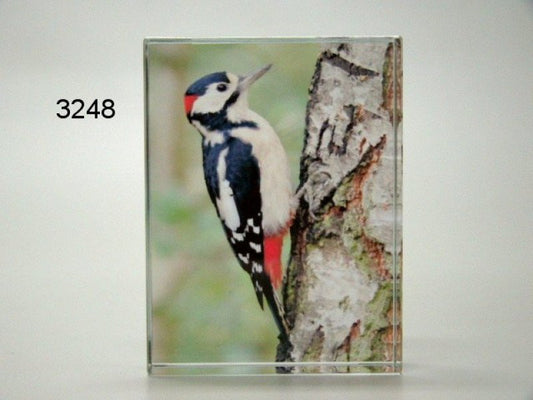 Specht glasblokje