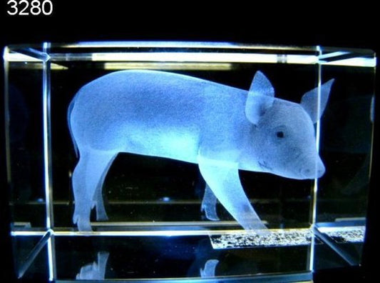 Varken glasblokje