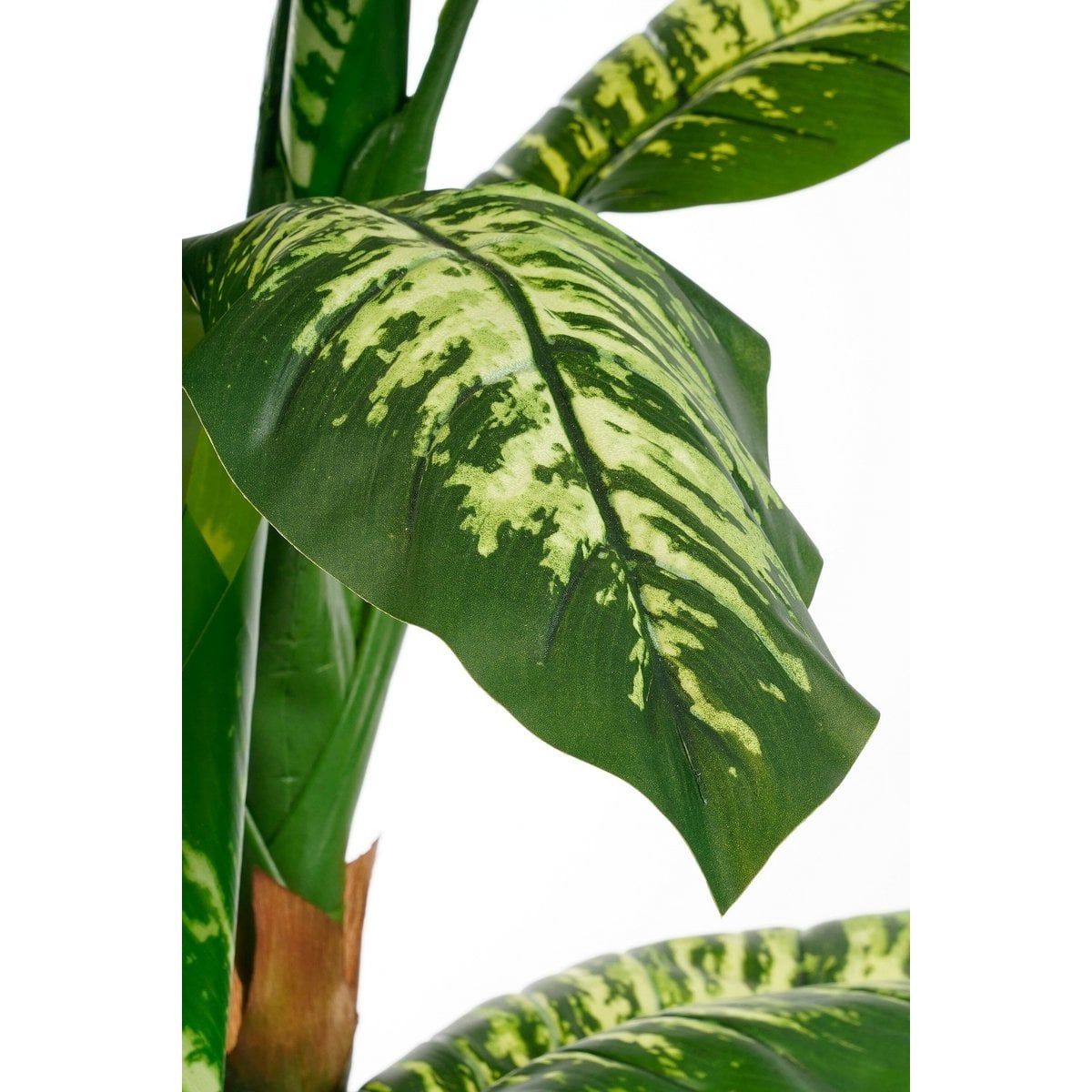 Dieffenbachia kunstplant, 150 cm