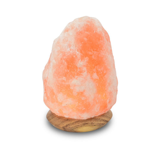 Salt Dreams rots zoutlamp USB LED met houten voet 10 cm