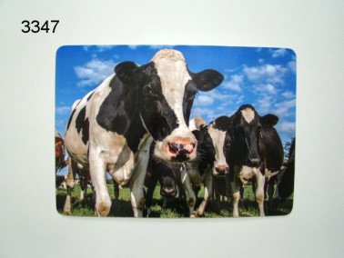Koe placemat