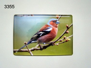 Vink magneet