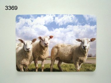 Schaap placemat
