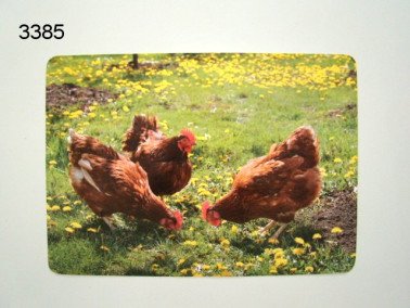 Kip placemat