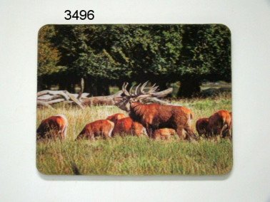 Edelhert, 3D magneet