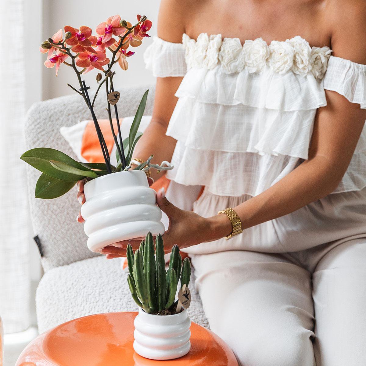 Oranje Phalaenopsis orchidee met witte Bubble sierpot, 35 cm, potmaat Ø 9 cm