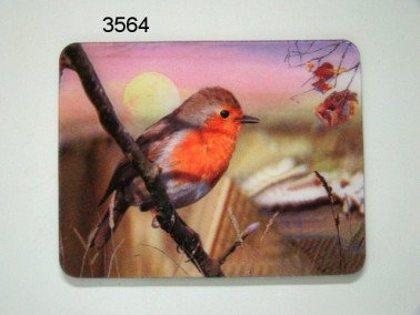 Roodborst, 3D magneet