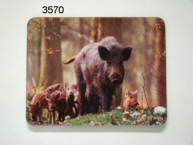 Wild zwijn met biggen, 3D magneet