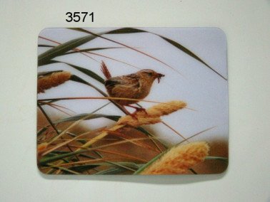 Winterkoning, 3D magneet