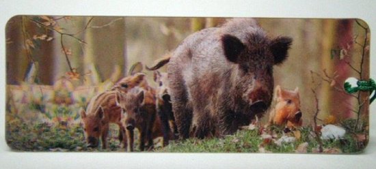 Wild zwijn, 3D boekenlegger