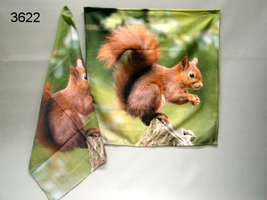 Eekhoorn theedoek en keukendoek, 60 x 60 cm